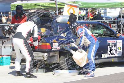 media/Oct-14-2023-Lucky Dog Racing (Sat) [[cef75db616]]/1st to 2nd Stint Driver Change/